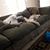Amanda Kephart's profile image