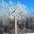 Melissa Bosma-Williams's profile image