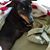 Kathy StClair's profile image