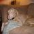 Maureen Crane's profile image