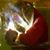 Kylito Fargoza's profile image