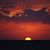 Peggy Weerts's profile image