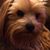 Dorothy White's profile image