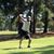 Daniel B. Sauls's profile image