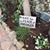 Deborah Copes's profile image
