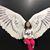 Donna Chan's profile image