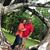 Paula Harvel's profile image