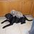Rosemary Appelt's profile image