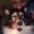 Bob Bigos's profile image