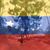 Enrique Jaimes Antolinez's profile image