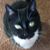 Claudette Benoit Perry's profile image