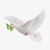 Marwah Sayef's profile image