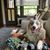 Doug Wetzel's profile image