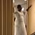 Cornelia Mahmood's profile image