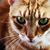 Nikki Kern's profile image