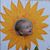 David Eaton's profile image