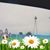 Janice Standish's profile image