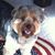 Joanne Elliott Ross's profile image