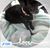 Tracey Frobel's profile image