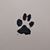 Danae Stewart's profile image