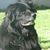 Margaret Lee's profile image