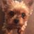 Tammy Raber's profile image