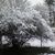 Dawn Haggart's profile image