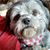 Debbie Russell's profile image