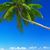 Sharon Hielsberg Doro's profile image