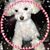 Maureen Winter Bauerle's profile image