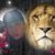 Angelica Chacon's profile image