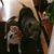 Rick G. Speare's profile image