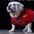 Kevin Chapman's profile image