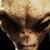 Lisa Knox's profile image