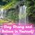 Anna Martinez's profile image