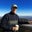 Rick Holstein's profile image