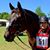 Stephanie Burkhardt's profile image