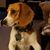 Storm Cilley's profile image