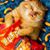 Oona Gorman's profile image