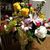 Connie Arcaro-Marotta's profile image