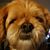 Debbie Atkins's profile image
