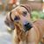 Jill Reba-Cash's profile image