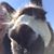 Sara Findlay's profile image