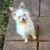 Amy D. Lyons's profile image