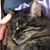 Reta Miller's profile image