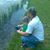 Luke Morrill's profile image