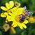 Suzi Dill's profile image