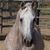 Sara Hopkins's profile image
