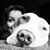 Jen Lopez Senft's profile image