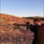 Lane Pedersen's profile image